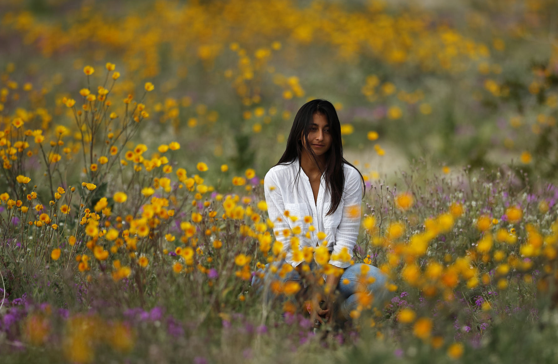 Desert Super Bloom